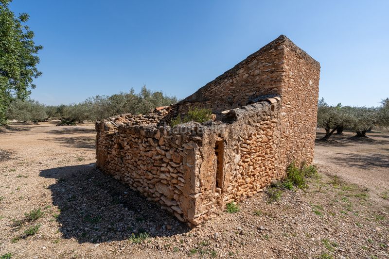 Foto fcbfac28-a298-46d4-afbe-e04b09b023d1. Finca rústica a camí colomar 14 a Roquetes