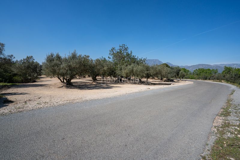 Foto aacf4a81-92b6-41b6-af3f-d0361b33a008. Finca rústica a camí colomar 14 a Roquetes