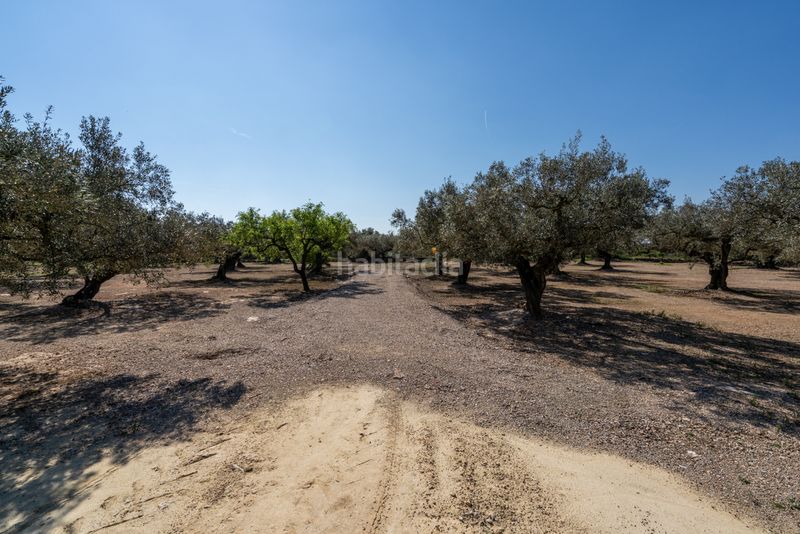 Foto ba83ad7b-1437-4faa-8f33-7e042797024f. Finca rústica a camí colomar 14 a Roquetes