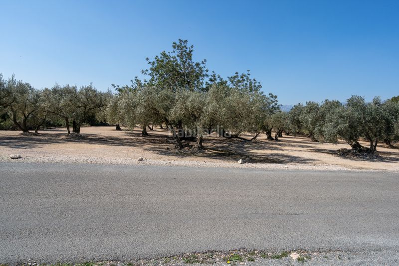 Foto eb41675c-f4e0-43e2-889c-1305d833c06c. Finca rústica a camí colomar 14 a Roquetes
