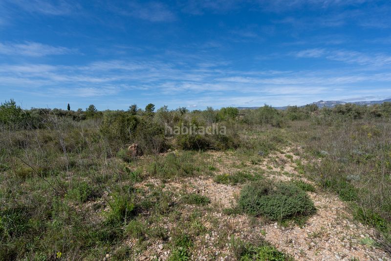 Foto 3d131ca9-fda1-4591-aef5-b635e021358b. Finca rústica a n/a a Ulldecona