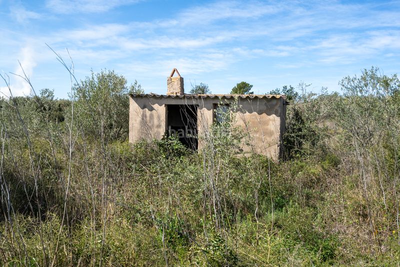 Foto 4b9f9956-84da-4820-8406-f347210be200. Finca rústica a n/a a Ulldecona