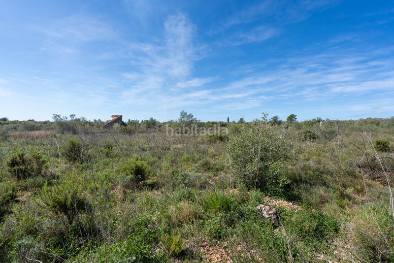 Foto 6f99d592-1d75-495f-8e40-d0aed09f98cb. Finca rústica a n/a a Ulldecona