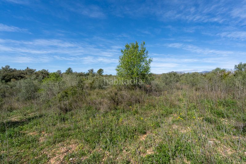 Foto ea90b380-db3d-43b4-8209-294997096569. Finca rústica a n/a a Ulldecona