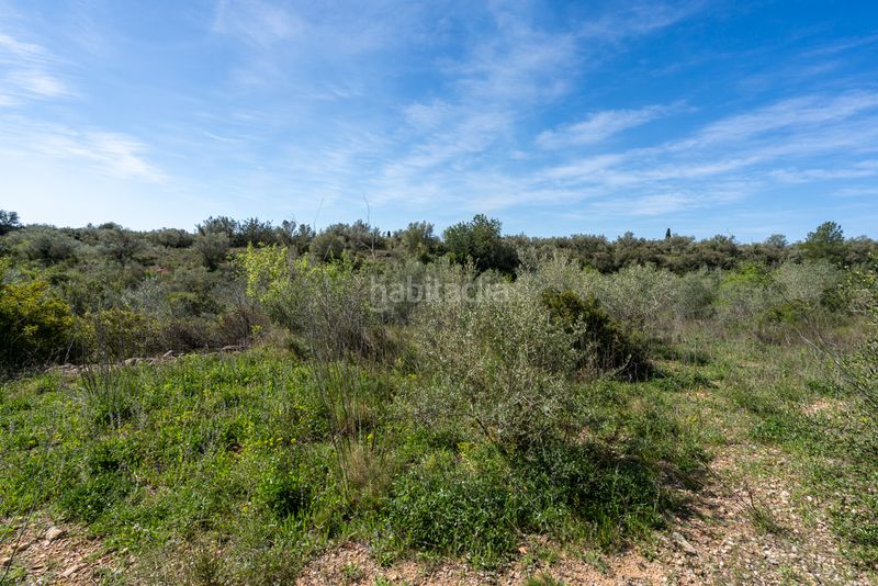 Foto f811fda9-23bc-4ef5-9647-0e7f6d8107d3. Finca rústica a n/a a Ulldecona
