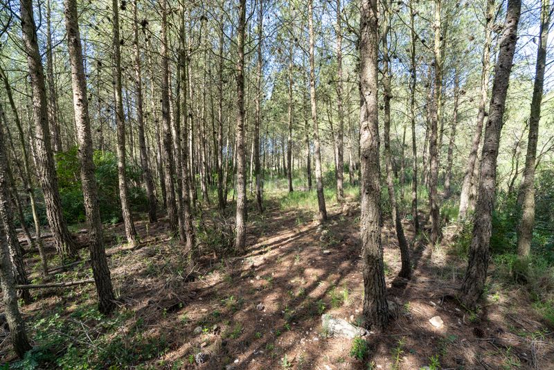 Foto 291221de-0f16-488a-88ac-472b7b06e7c9. Masia amb xemeneia aparcament a Enguera