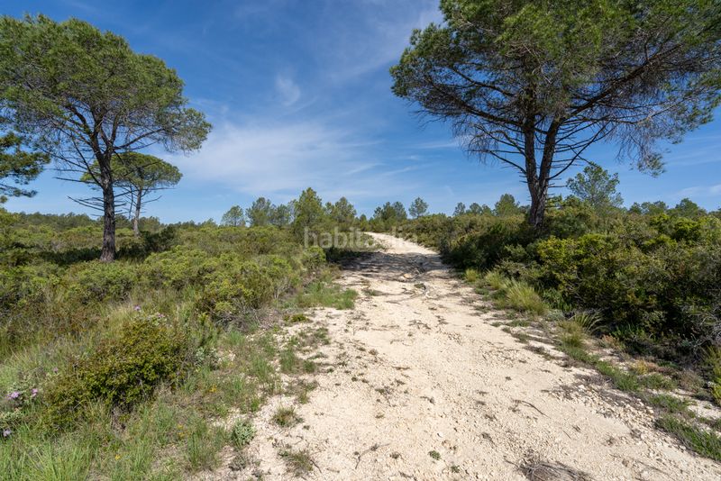 Foto 3a58de2f-f41f-4dc7-a774-fc0297a7d681. Masia amb xemeneia aparcament a Enguera