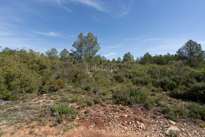 Foto a322c2cf-63ad-46f8-bd35-be2970bb7c10. Masia amb xemeneia aparcament a Enguera