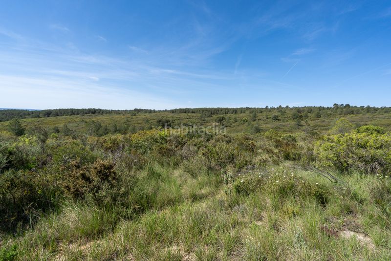 Foto ea8ac8ce-f3b7-42d6-a144-96b994ba57c1. Masia amb xemeneia aparcament a Enguera