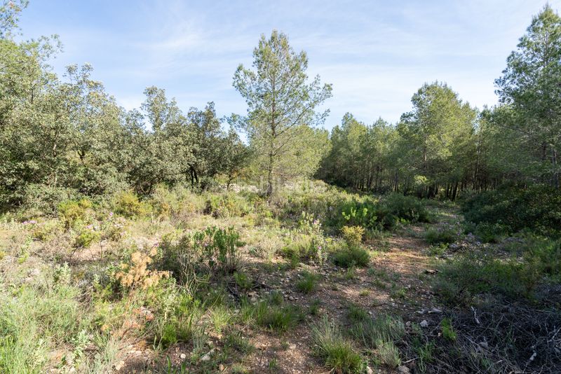 Foto ec86f705-2086-431d-99eb-ccfe720e58aa. Masia amb xemeneia aparcament a Enguera