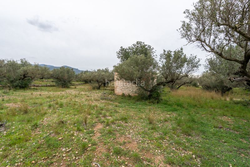 Foto d01c45a3-9b45-4eb7-9b14-34c101462f78. Finca rústica a n/a a Roquetes