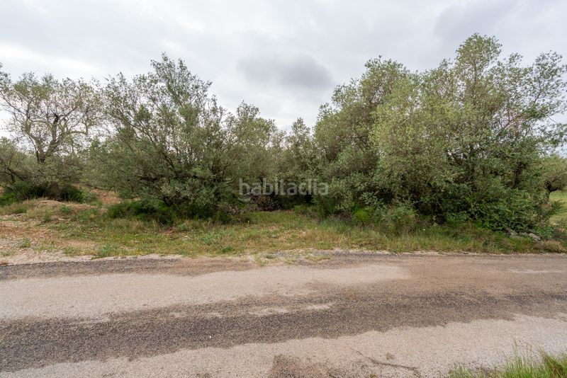 Foto 19885068-0772-4a87-8e0c-d063a9ac2bbd. Finca rústica a n/a a Mas de Barberans