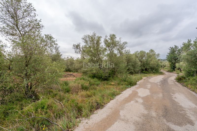 Foto 1a04b544-169d-49fb-ac7a-8beb1568d4c3. Finca rústica a n/a a Mas de Barberans