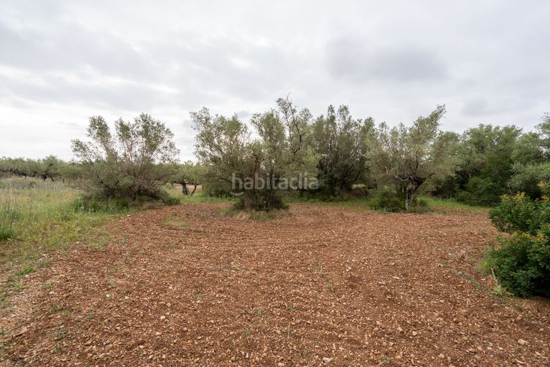 Foto 4e7f0b4f-1644-4ca6-ab97-098ddd7e7e4a. Finca rústica a n/a a Mas de Barberans