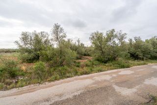 Fondo rustico in N/a. Finca rústica de olivos plana, sin edificación y buen acceso.