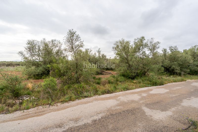 Foto 58d8d4e1-99df-478e-a662-54afcc6c5101. Finca rústica a n/a a Mas de Barberans