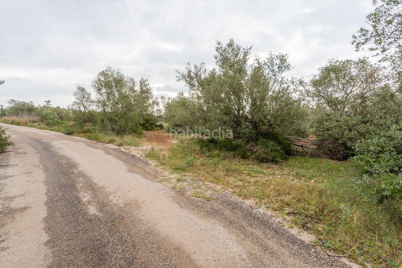 Foto 645ad589-5b8d-4d44-a97c-7eace5b8529d. Finca rústica a n/a a Mas de Barberans