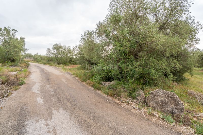 Foto 6ac605dd-2dae-41a6-90cf-753c443b7aec. Finca rústica a n/a a Mas de Barberans