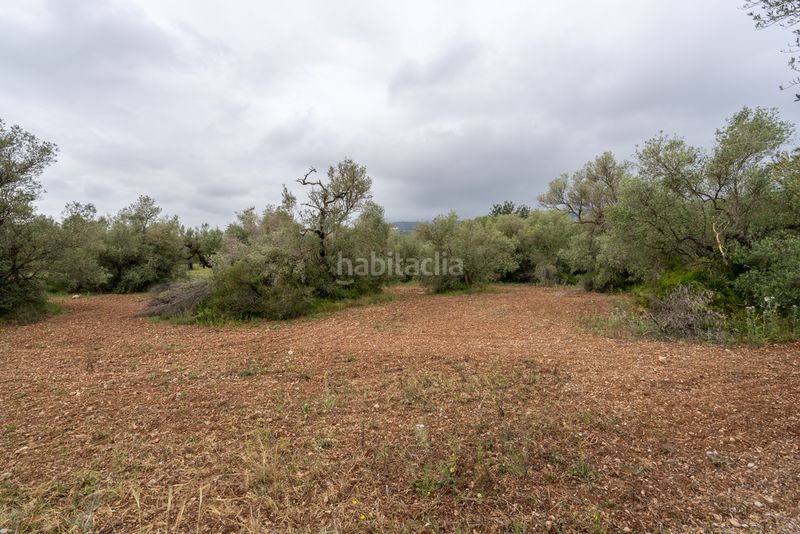 Foto 88933b06-cc80-40fb-92e8-9fb14d94df85. Finca rústica a n/a a Mas de Barberans