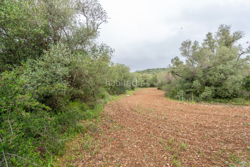 Foto dfe70c55-7f9d-44e8-906f-426444281b04. Finca rústica a n/a a Mas de Barberans