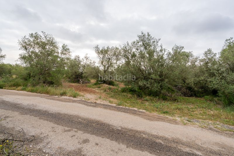 Foto ed9cbfac-2aeb-4904-8b6e-42155a8fc7bf. Finca rústica a n/a a Mas de Barberans