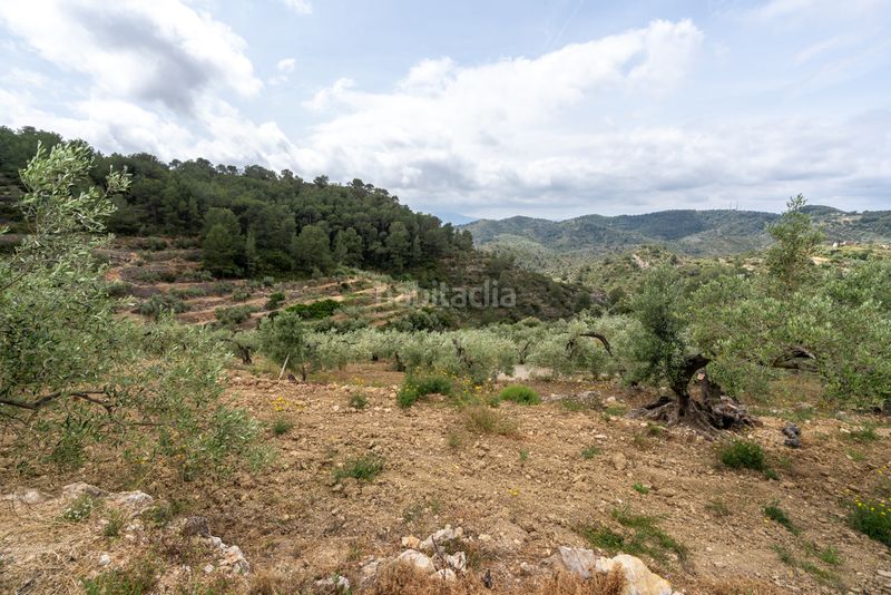 Foto 122a0e46-0261-4394-8fc7-699c5a4f46a4. Finca rústica a n/a a Urbanitzacions Tortosa