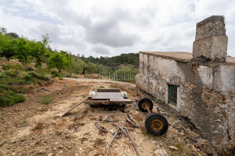 Foto a8701657-0817-4256-a87b-c55aeeded747. Finca rústica a n/a a Urbanitzacions Tortosa
