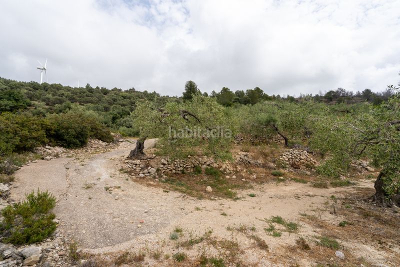 Foto abc06c98-2f5e-4d32-bbff-d371202c97ff. Finca rústica a n/a a Urbanitzacions Tortosa