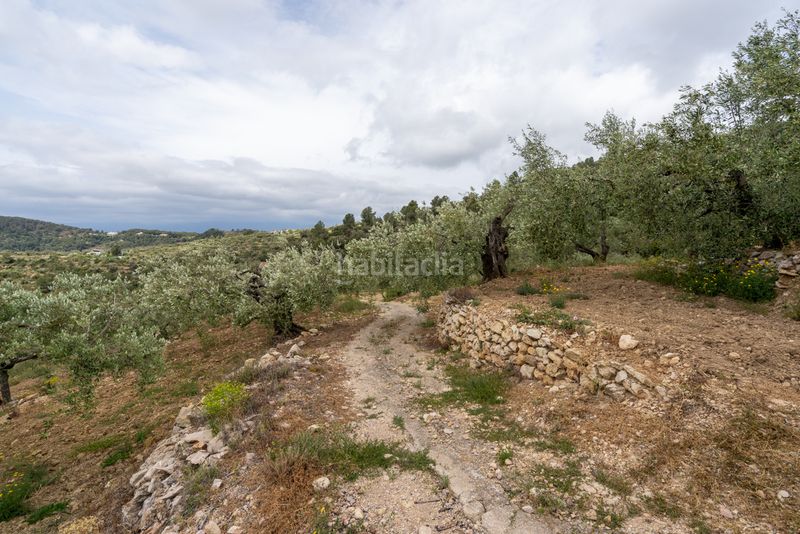 Foto b1d49371-8a44-40cd-bda8-6233f82c291d. Finca rústica a n/a a Urbanitzacions Tortosa