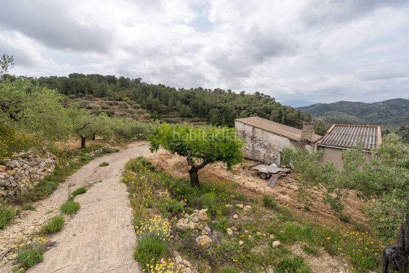 Foto b6504b44-a2b9-4f06-b51d-7c0d6c1e5c1f. Finca rústica a n/a a Urbanitzacions Tortosa