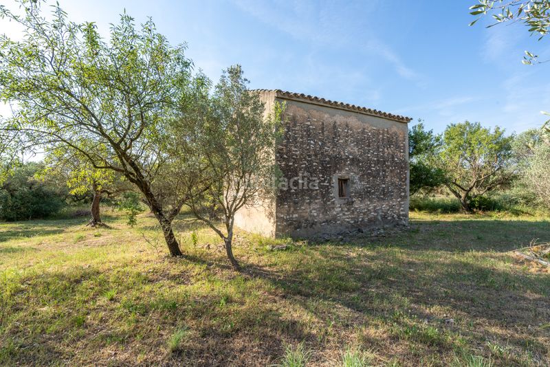 Foto 4580b8d5-1ff1-4997-ab28-16303d408c3f. Finca rústica a camí dels paülencs als reguers 62 a Aldover
