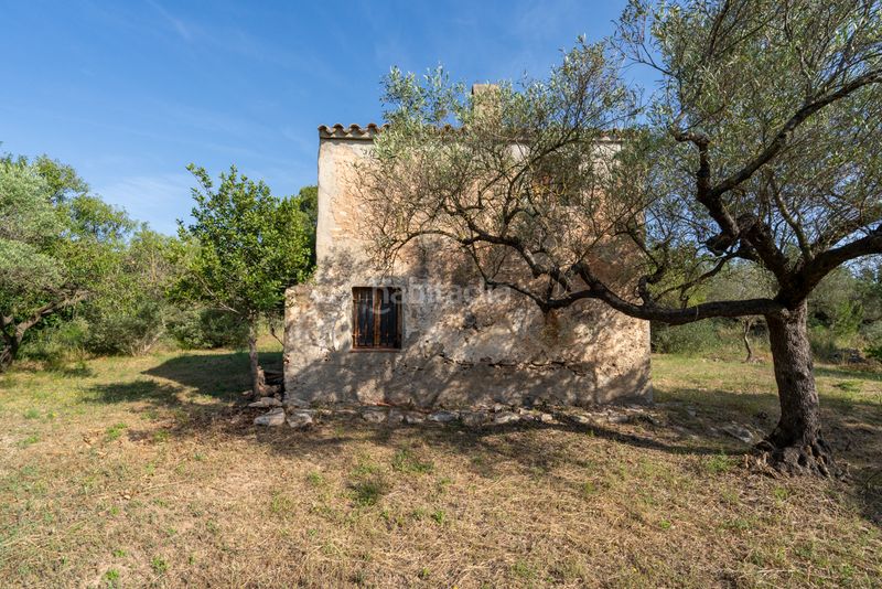 Foto c2e7c36b-ab06-4186-bc1b-f9e2040c5314. Finca rústica a camí dels paülencs als reguers 62 a Aldover