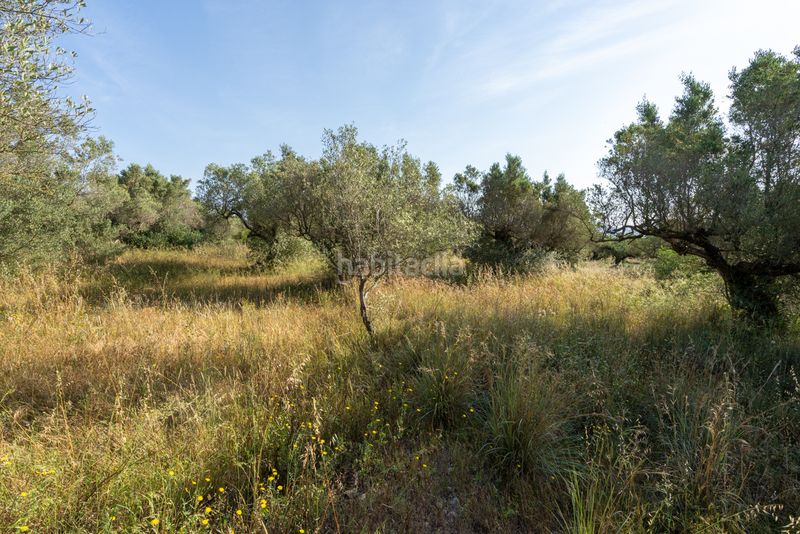 Foto de1804d7-8667-4704-8200-4524a56bae55. Finca rústica a camí dels paülencs als reguers 62 a Aldover
