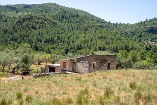 Fondo rustico  Carrer del trinquet 6. Gran finca con proyecto para hacer un glamping