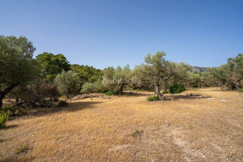 Foto 55392d47-79ea-4b99-81d1-d305488841d1. Finca rústica a n/a a Perelló (El)