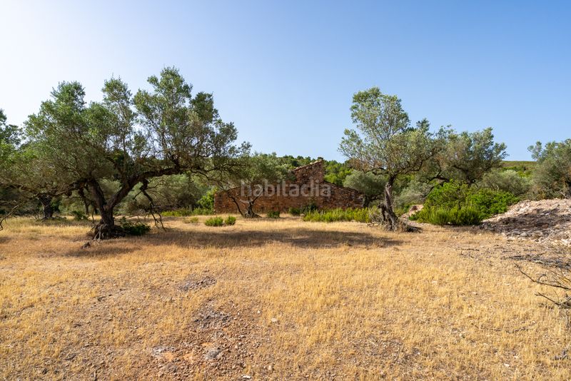 Foto 8cceb369-81d4-428f-b157-083ea66b8de3. Finca rústica a n/a a Perelló (El)