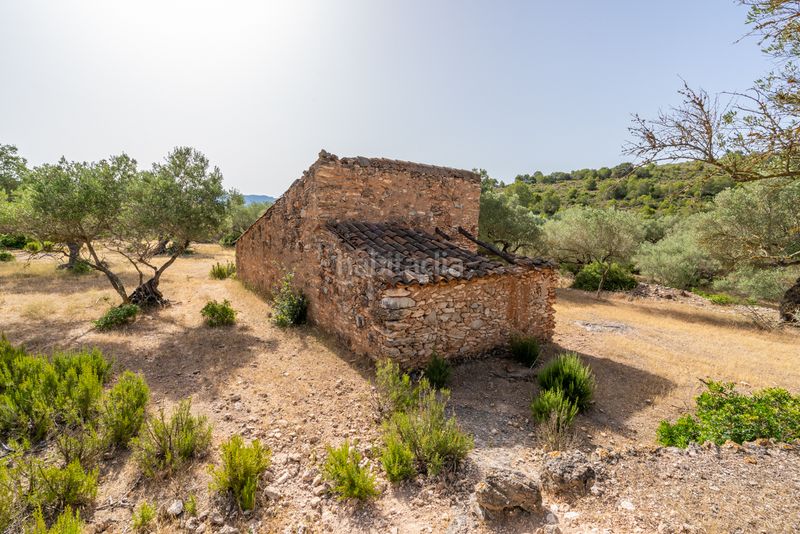 Foto d1db539d-6d21-4a73-aa79-b1bd142a83ab. Finca rústica a n/a a Perelló (El)