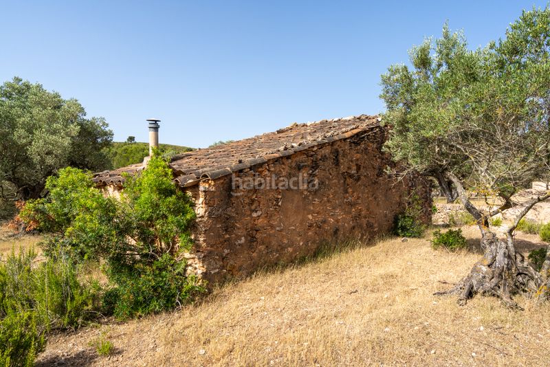 Foto d385e437-056f-4260-a5f7-4b0fd92f34be. Finca rústica a n/a a Perelló (El)