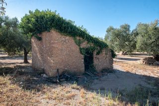Finca rústica a N/A