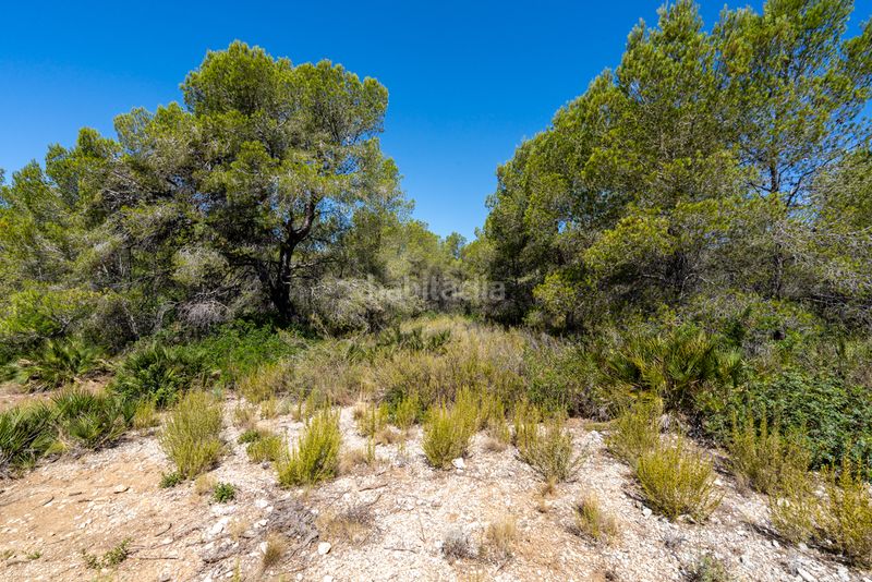 Foto 4562be42-0dac-4a71-9efd-abb8b5ac06a0. Finca rústica en partida carratillana 24 finca rústica cerca del mar y la playa en Ametlla de Mar (L´)