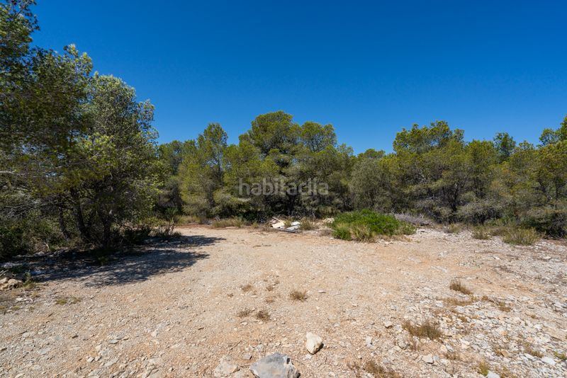 Foto 8520b03d-9ff6-49ec-a84c-f22317e4846e. Finca rústica en partida carratillana 24 finca rústica cerca del mar y la playa en Ametlla de Mar (L´)