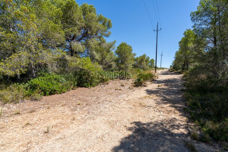 Foto 87bd4c0c-d583-4778-9ea3-aa3dd31bc132. Finca rústica en partida carratillana 24 finca rústica cerca del mar y la playa en Ametlla de Mar (L´)