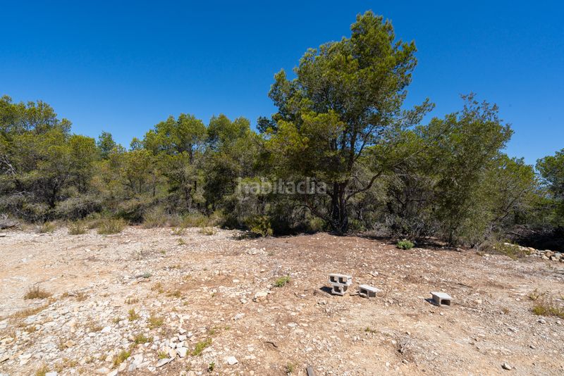 Foto f2dc1a29-795e-43c1-9a58-f8755d2a8d10. Finca rústica en partida carratillana 24 finca rústica cerca del mar y la playa en Ametlla de Mar (L´)