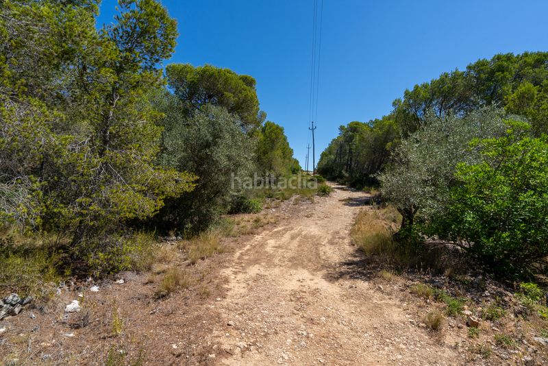 Foto f6eb6629-ec3a-41da-a42e-7e1516136e92. Finca rústica en partida carratillana 24 finca rústica cerca del mar y la playa en Ametlla de Mar (L´)