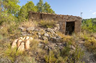 Landgut in N/a. Finca rústica de olivos y pinar con una casa de aperos en casere