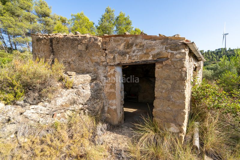 Foto 0e41f1fc-bdfb-4766-b044-5743bc438c90. Finca rústica a n/a a Caseres