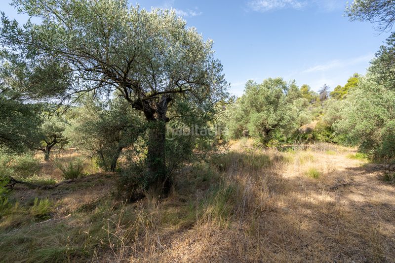 Foto aac276f9-b205-4f8f-b8ae-fcd0b460ee8d. Finca rústica a n/a a Caseres
