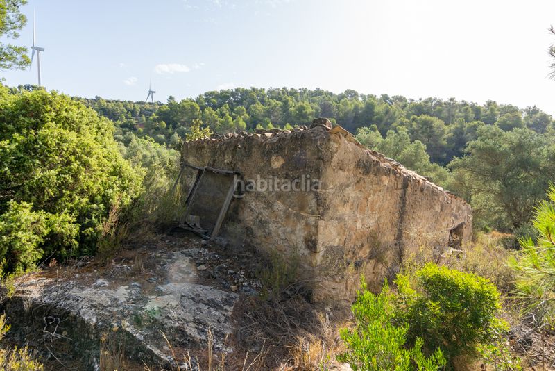 Foto e4c92ccd-7752-4140-8976-1b2a3a735779. Finca rústica a n/a a Caseres