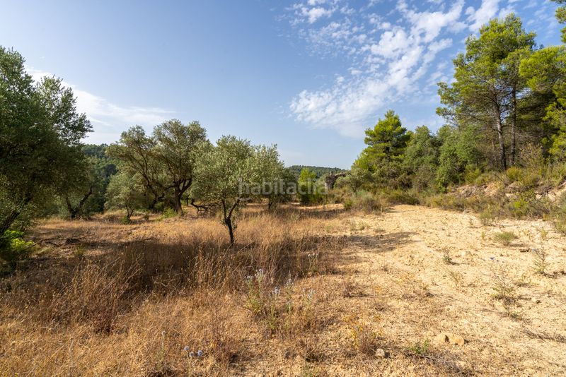 Foto fb457309-8e9e-4ae4-8b36-90f290ed6334. Finca rústica a n/a a Caseres