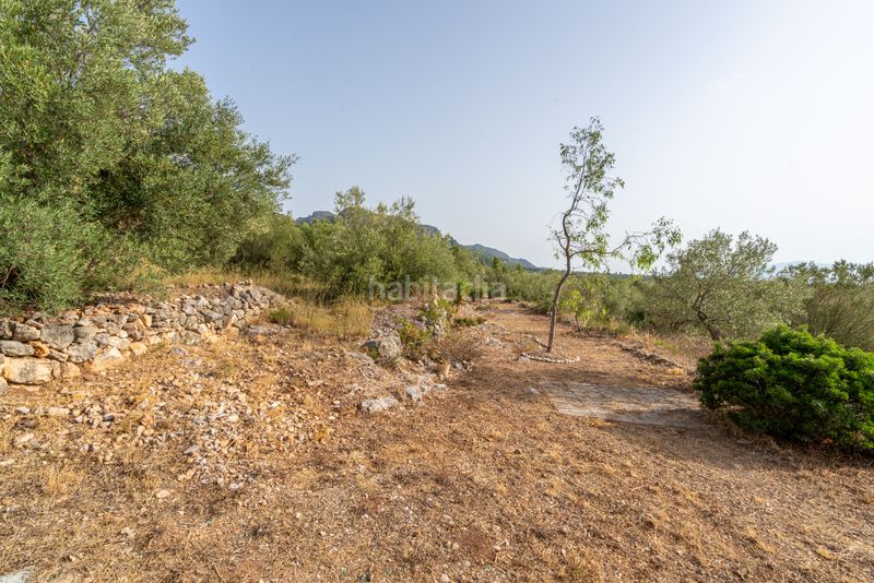 Foto 0ae5fb39-3580-45c2-ad17-34738f90be49. Finca rústica a n/a a Roquetes